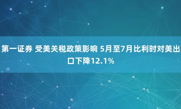 第一证券 受美关税政策影响 5月至7月比利时对美出口下降12.1%